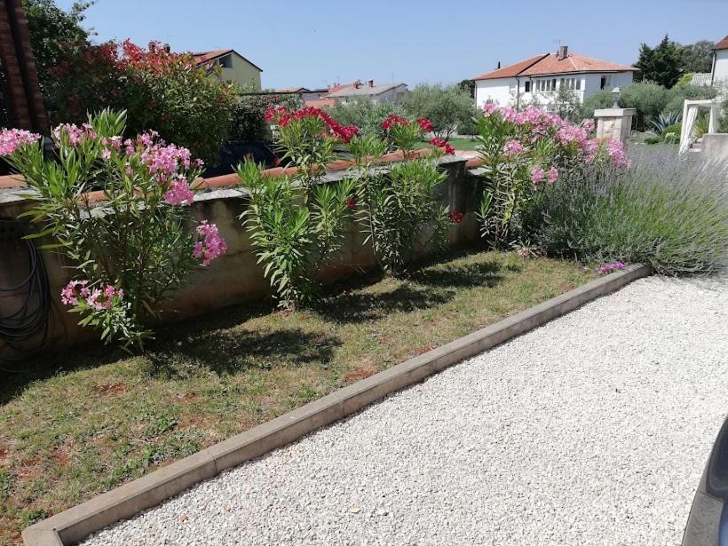 Apartments Oleander Lovrecica-Residence With Pool Exterior photo